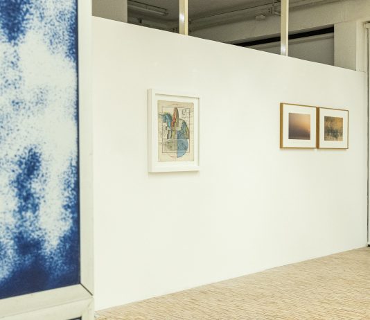 Undici artisti per una geografia blu: la collettiva del nuovo SPAZIO TORRSO a Pesaro