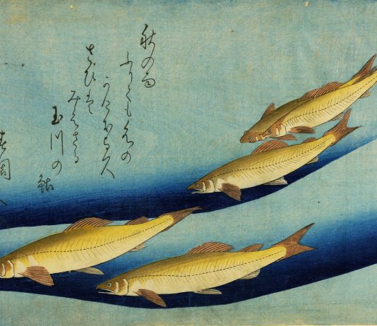 Graphic Japan. Da Hokusai al Manga: la grafica giapponese tra tradizione e contemporaneità