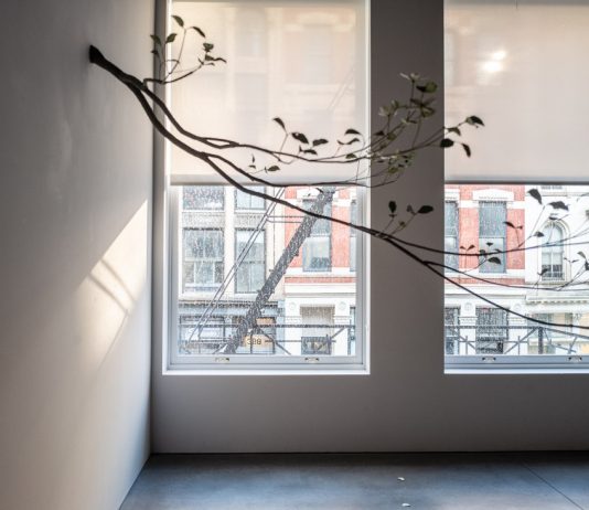 Álvaro Urbano, le atmosfere nascoste di Central Park alla Marian Goodman Gallery Álvaro Urbano, Prelude, veduta della mostra, Marian Goodman Gallery, New York, 2025, ph. Francesca Magnani