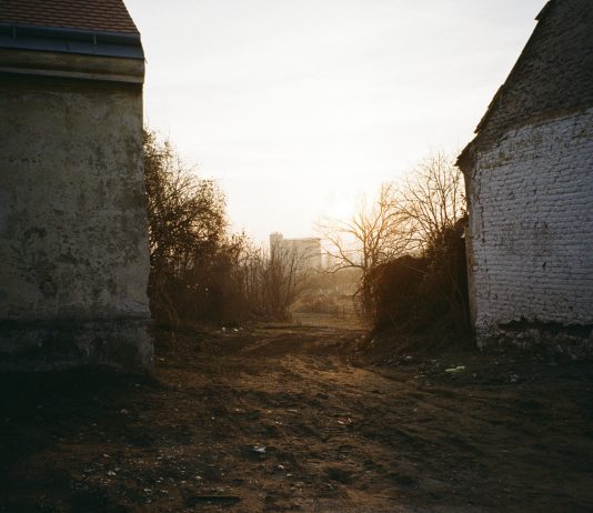 Fotografia Calabria Festival 2025: le radici dell’immagine contemporanea