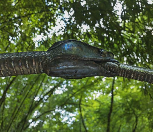Un serpente nella Tuscia: l’opera di Cristiano Carotti al Parco della Serpara