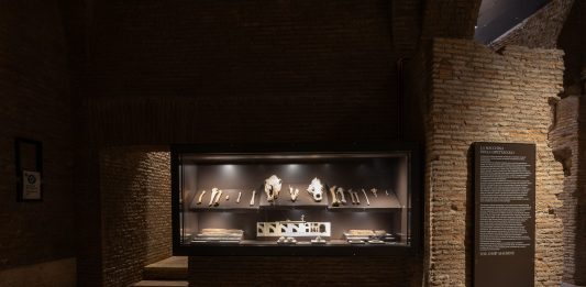 Il Colosseo racconta il suo antico pubblico: negli ipogei apre una nuova sezione museale