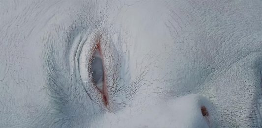 Valentina Gelain è la vincitrice della quinta edizione dell’exibart prize Valentina Gelain