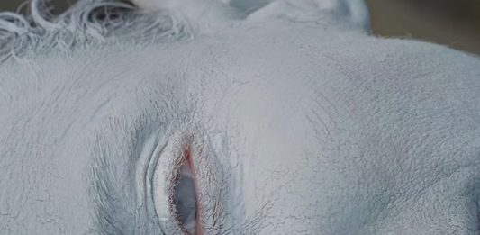 Valentina Gelain vince la quinta edizione dell’exibart prize