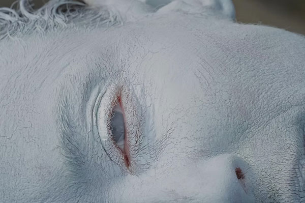 Valentina-Gelain-segnala