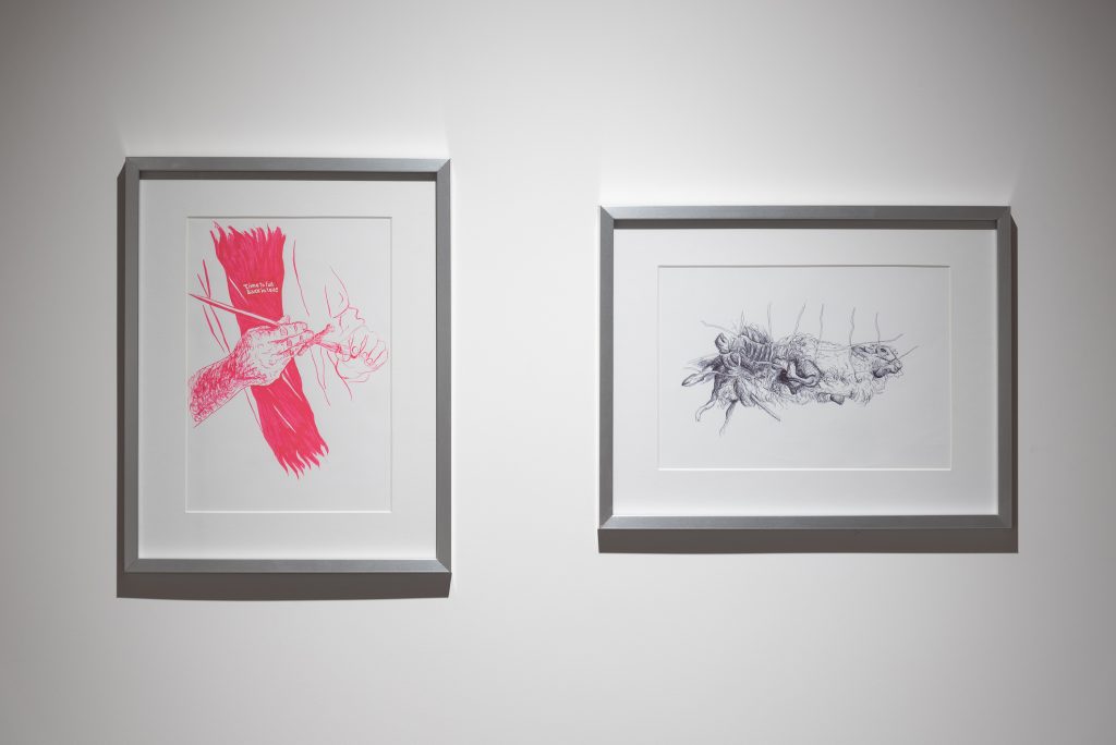 Rural Vision intervista