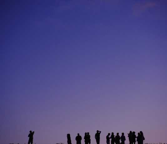 Sedimenta, tre progetti artistici per una nuova narrazione del Delta del Po