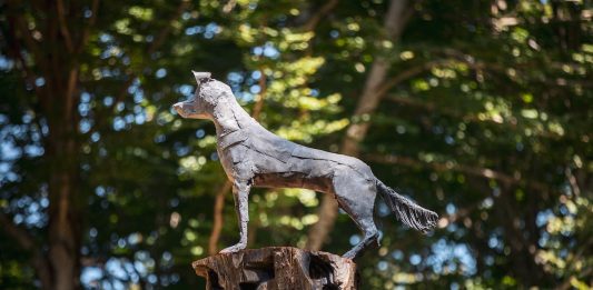 La forza gentile del lupo, nell’opera di Velasco Vitali per Arteparco ARTEPARCO 2025, Stasis di Velasco Vitali