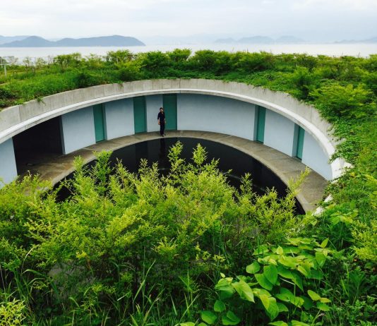 Viaggi straordinari. Cristiano Leone nelle isole del Giappone Cristiano Leone Giappone