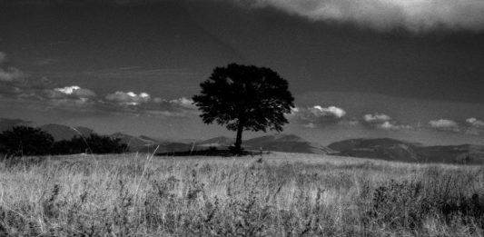 Giorgio Cutini, il canto visivo delle stagioni: fotografie alla Mole Vanvitelliana di Ancona