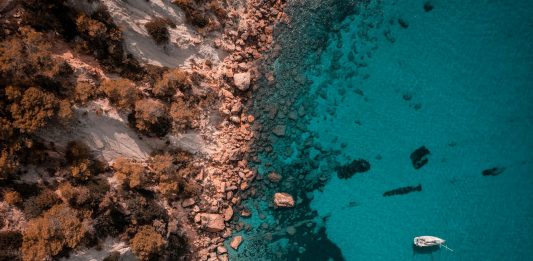 Non solo clubbing: 3 mostre da visitare quest’estate a Ibiza Ibiza mostre estate 2025