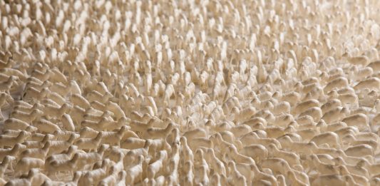 La Commedia Umana: due artisti in dialogo sulla fragilità la commedia umana