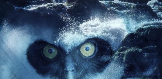 Per il trentesimo anniversario, il MACBA arricchisce la sua collezione macba nuove opere