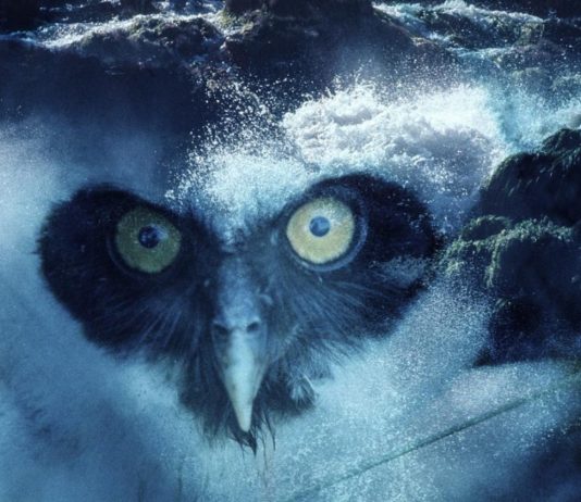 Per il trentesimo anniversario, il MACBA arricchisce la sua collezione macba nuove opere