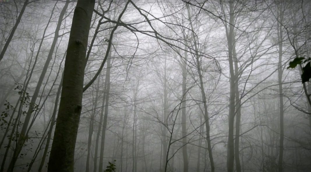 max de esteban Max de Esteban