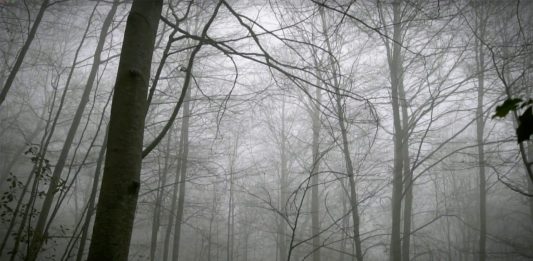 Max de Esteban: l’arte come riflessione sul “regime tecnologico” Max de Esteban