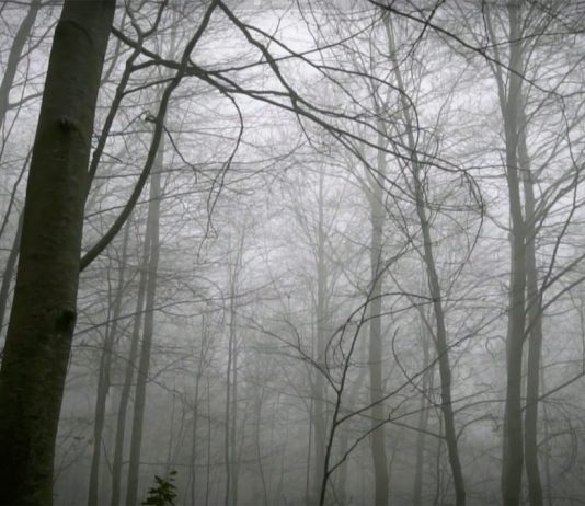 Max de Esteban: l’arte come riflessione sul “regime tecnologico” Max de Esteban