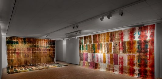 Scritture telluriche: le tele organiche di Renata Boero in mostra a Macerata renata boero