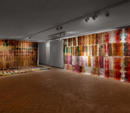 Scritture telluriche: le tele organiche di Renata Boero in mostra a Macerata renata boero