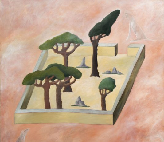 Volare, guardare, costruire: tre azioni nella ricerca di Nathalie Du Pasquier