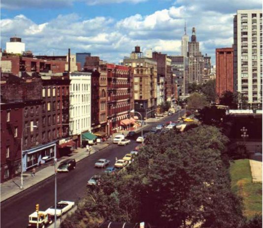 Al PAV la prima mostra istituzionale di Alan Sonfist, pioniere della land art