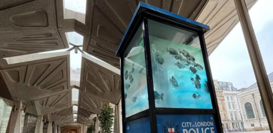 I piranha di Banksy troveranno casa nella nuova sede del London Museum