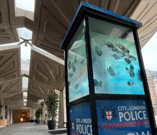 I piranha di Banksy troveranno casa nella nuova sede del London Museum