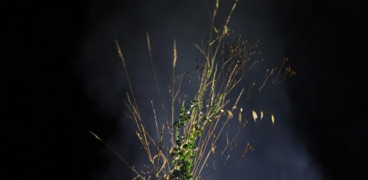 Viaggi straordinari. Irene Fenara in Lunigiana lunigiana