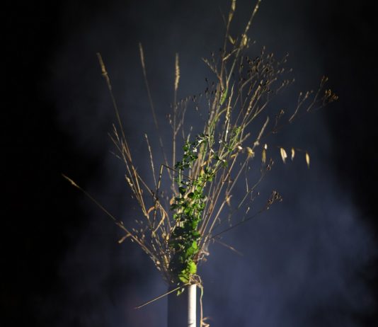 Viaggi straordinari. Irene Fenara in Lunigiana lunigiana