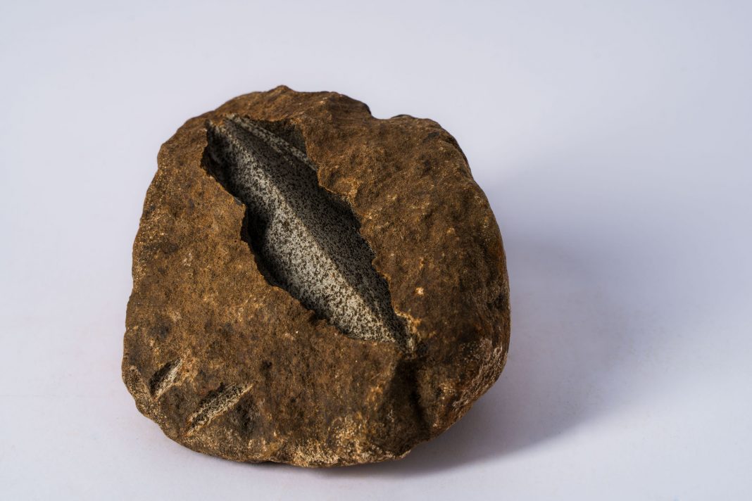 Flashback Art Fair 1