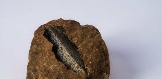 È senza titolo la XIII edizione di Flashback Art Fair, dove l’arte è tutta contemporanea