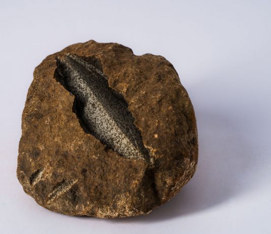 È senza titolo la XIII edizione di Flashback Art Fair, dove l’arte è tutta contemporanea