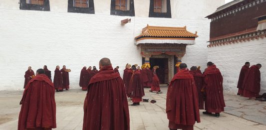 Viaggi straordinari. Marco Scotini in Cina marco scotini