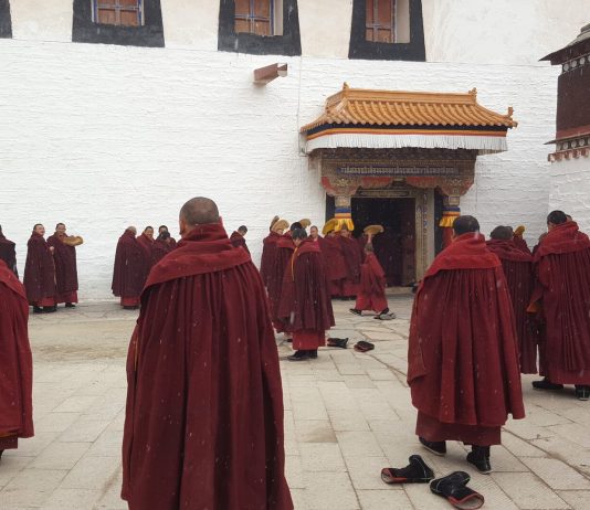 Viaggi straordinari. Marco Scotini in Cina marco scotini