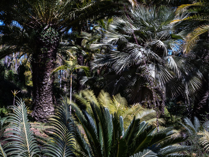 Parco Paternò del Toscano 