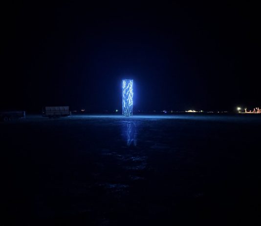 Pepemaniak al festival Burning Man nel deserto del Nevada