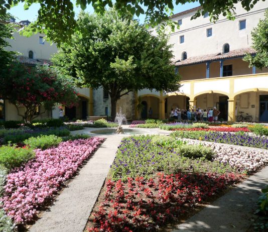 Ad Arles e dintorni sulle orme di Vincent Van Gogh