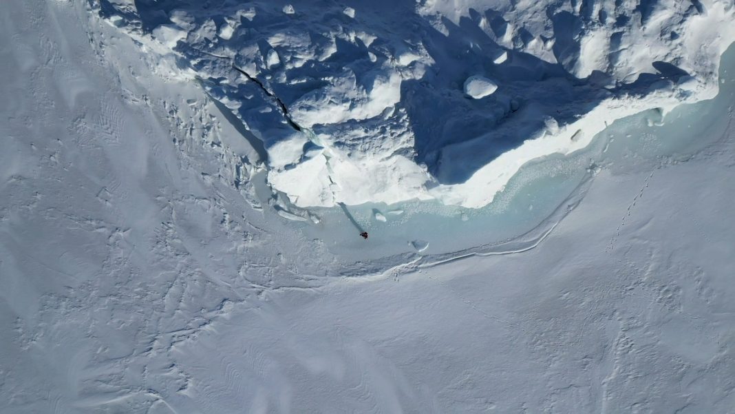 cagol Timothy Morton