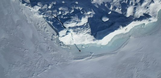 Cosa vuol dire fare arte ecologica oggi? Timothy Morton