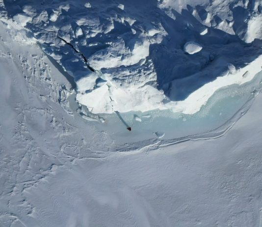 Cosa vuol dire fare arte ecologica oggi? Timothy Morton