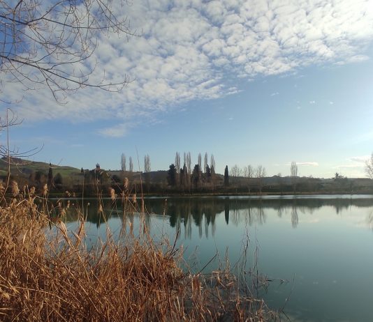 Viaggi straordinari. Enrico Della Torre nelle Marche