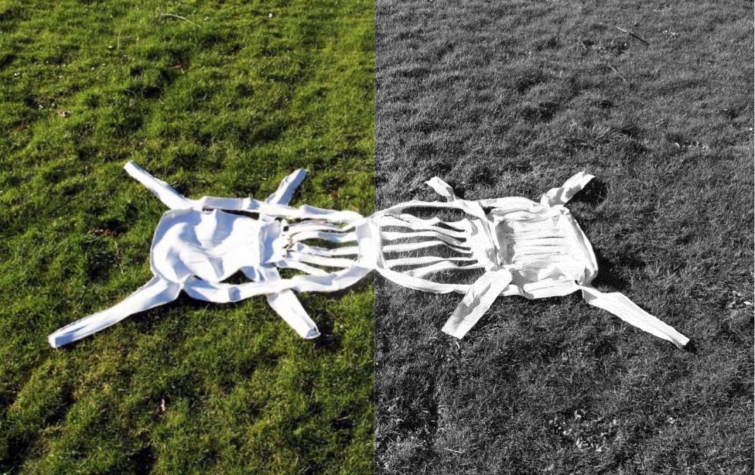 Il design e il suo doppio