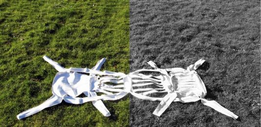 Un libro al giorno. Il design e il suo doppio di Giovanni Innella e Marco Petroni Il design e il suo doppio