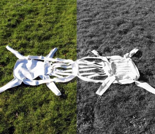 Un libro al giorno. Il design e il suo doppio di Giovanni Innella e Marco Petroni Il design e il suo doppio