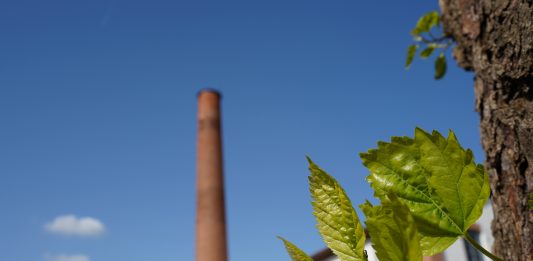 Nasce a Trissino il centro di ricerca RARE: ne parliamo con i curatori