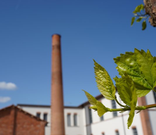 Nasce a Trissino il centro di ricerca RARE: ne parliamo con i curatori