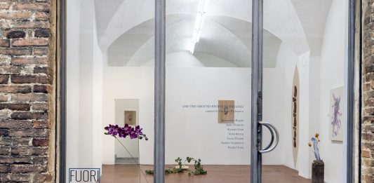 Movimenti taciti e delicati della natura, in una doppia mostra a Siena