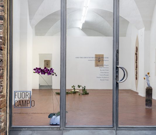 Movimenti taciti e delicati della natura, in una doppia mostra a Siena