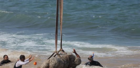 Un antico porto egiziano riemerge dal mare: il ritrovamento ad Alessandria