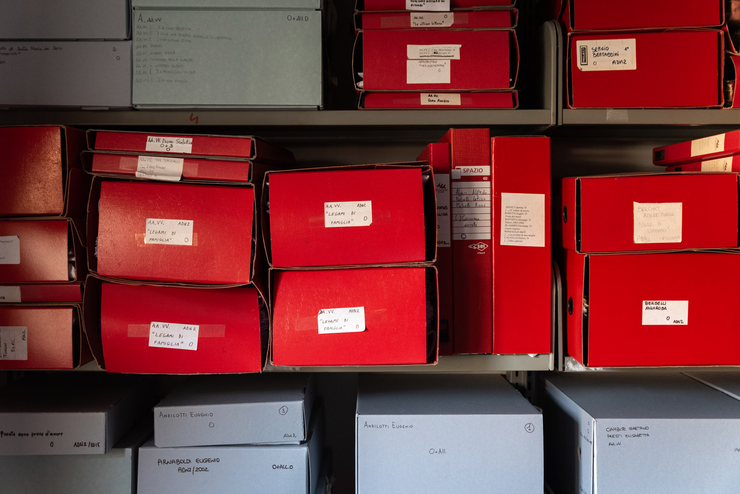 francesco petrone museo diario